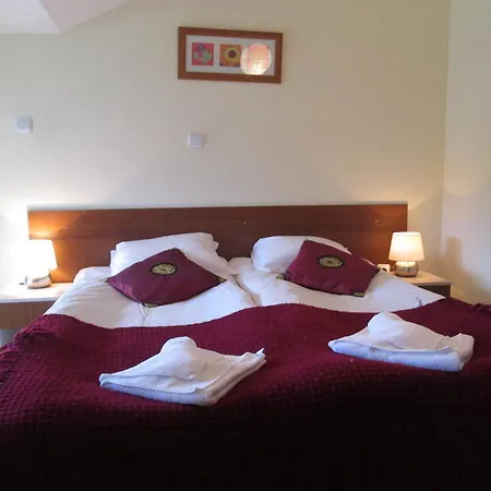 Alex 2 Alexander Services Bansko